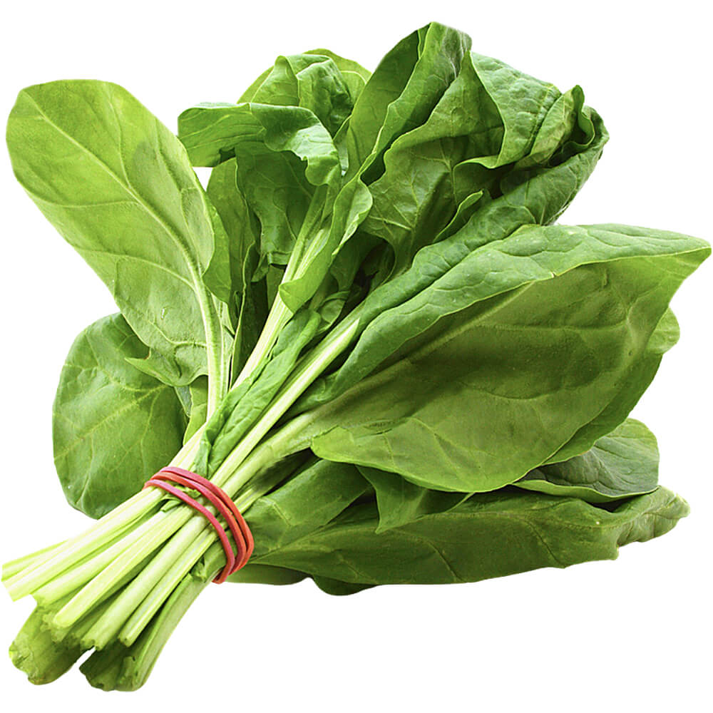 Fresh Spinach