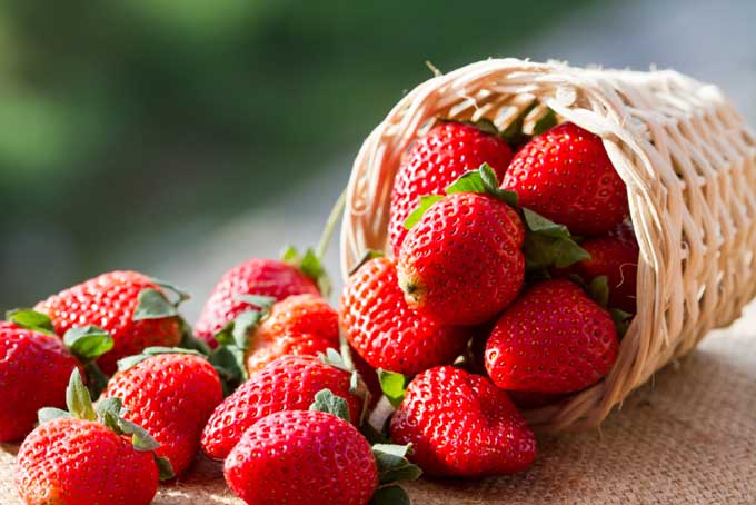 Fresh Strawberries